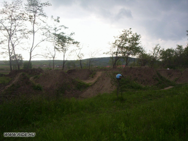 nemgal