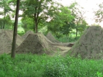 http://ride.hu/spots/eger/eger_dirt/1498.jpg